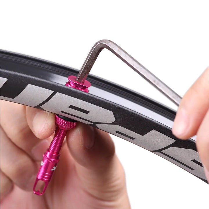 Fratelli Tubeless Valve Kit